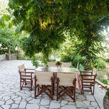 Villa Ilias Pinakokhorion Exterior photo