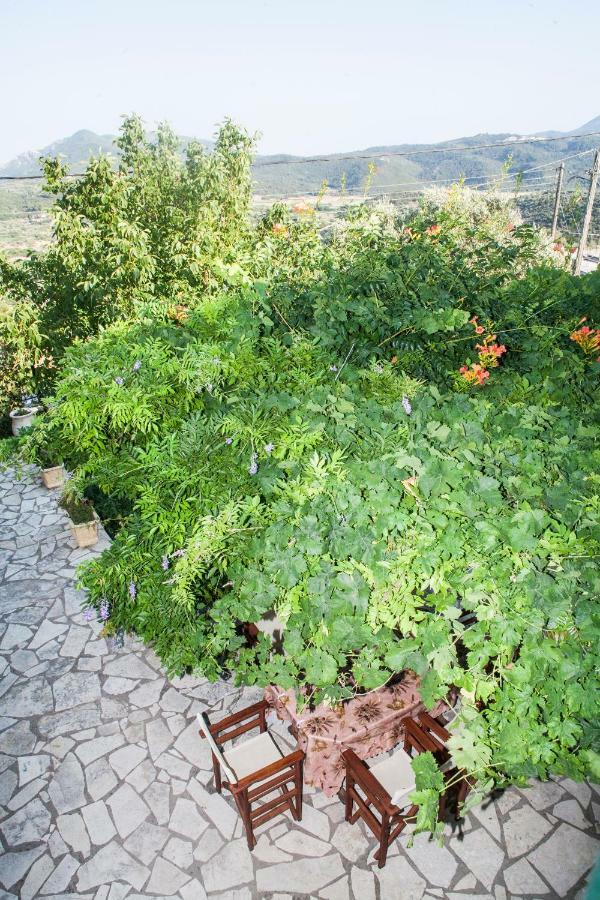 Villa Ilias Pinakokhorion Exterior photo