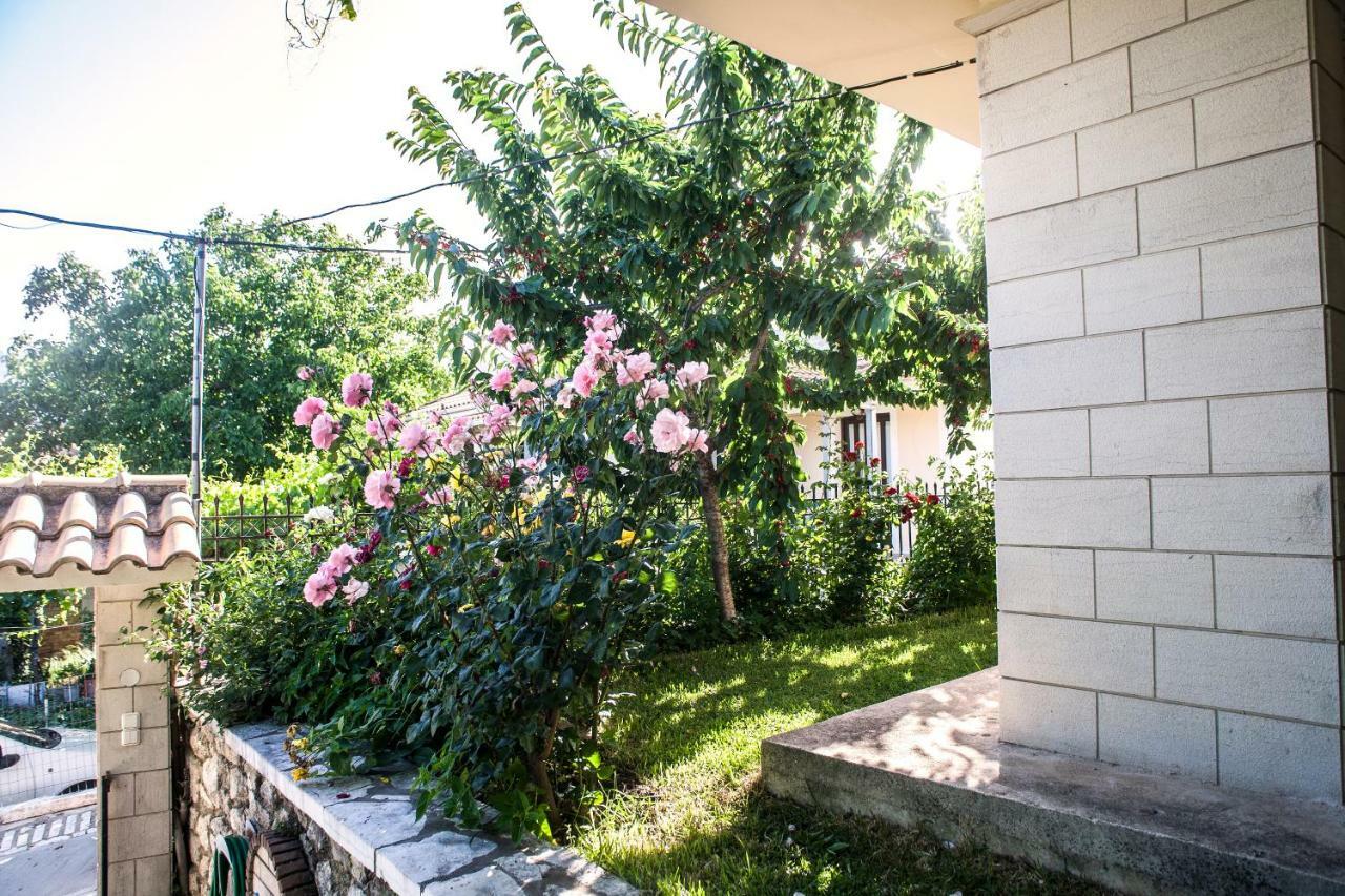 Villa Ilias Pinakokhorion Exterior photo